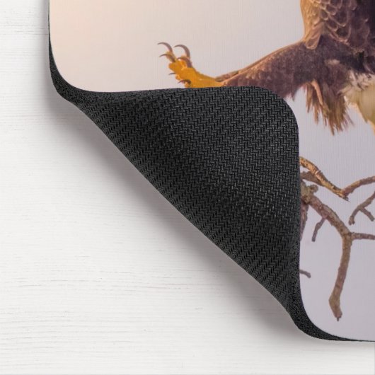 Tapis De Souris M SWFL Eagle Cam Mouse Pad 2021 (Coin)