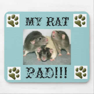 TAPIS DE SOURIS MA PROTECTION DE RAT… DRÔLE ! ! ! !
