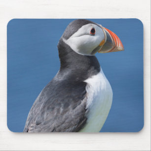 Tapis De Souris Macareux Atlantique (Fratercula Arctica) Sur Une F