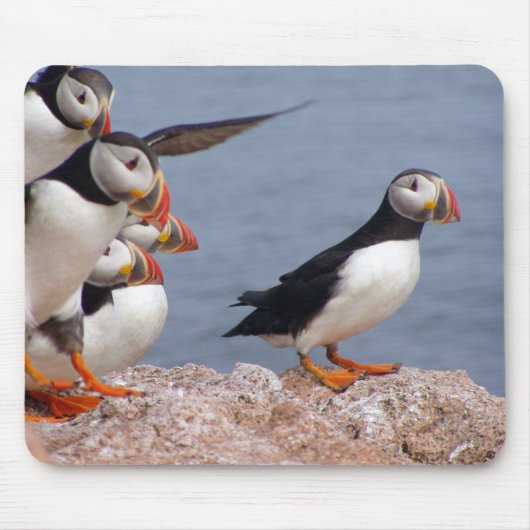 Tapis De Souris Macareux mignons Mousepad (Devant)