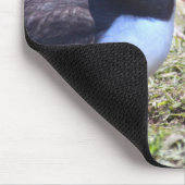 Tapis de souris Macareux qui s'embrassent (Coin)