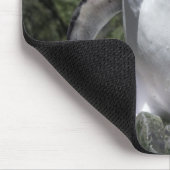 Tapis De Souris Macaroni Penguins, Géorgie du Sud (Coin)