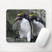 Tapis De Souris Macaroni Penguins, Géorgie du Sud (Avec souris)