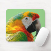 Tapis De Souris Macaw (Avec souris)