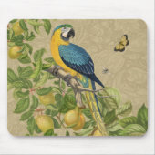 Tapis De Souris Macaw Blue Jaune Tropical Jungle Antique (Devant)
