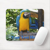 Tapis De Souris Macaw Mousepad (Avec souris)