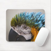 Tapis De Souris Macaw Parrot - Mousepad (Avec souris)