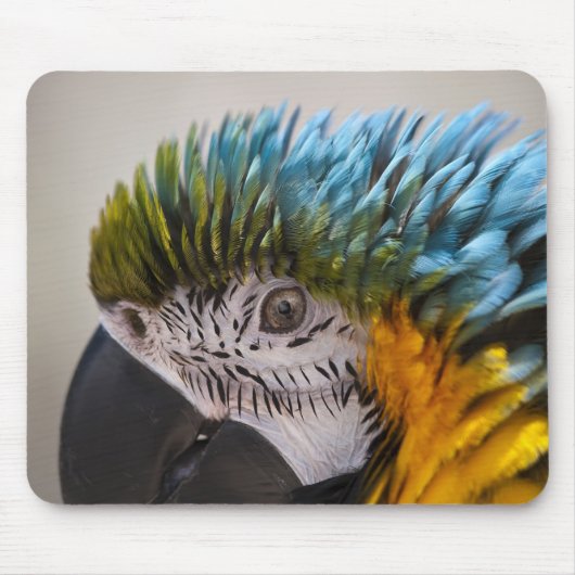 Tapis De Souris Macaw Parrot - Mousepad (Devant)