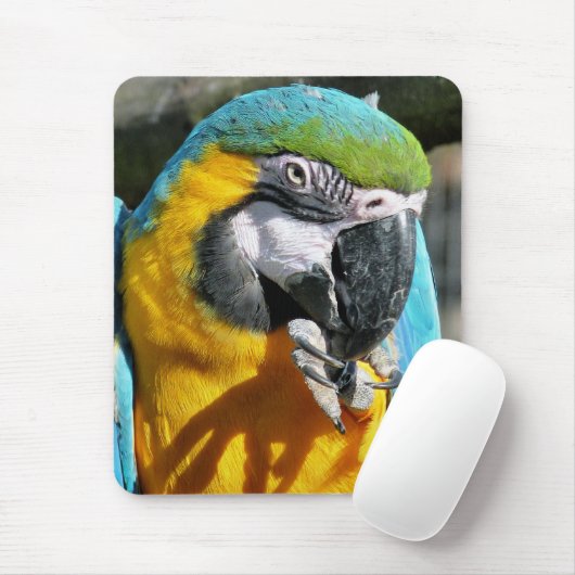 TAPIS DE SOURIS MACAWS (Avec souris)
