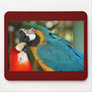 Tapis De Souris Macaws