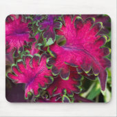 Tapis De Souris Macro Coleus (Devant)