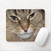 Tapis De Souris Macro de chat de coton du Maine (Avec souris)