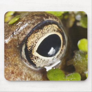 Tapis De Souris Macro ; Horizontal ; Couleur ; Couleur ; Personne