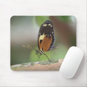 Tapis De Souris Macro papillon (Avec souris)