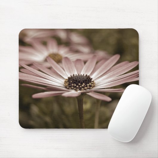 Tapis De Souris Macro Rose Daisy (Avec souris)