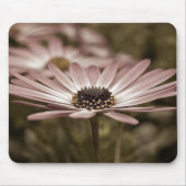 Tapis De Souris Macro Rose Daisy (Devant)