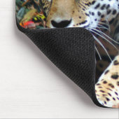 Tapis De Souris Macro Stalking Leopard (Coin)