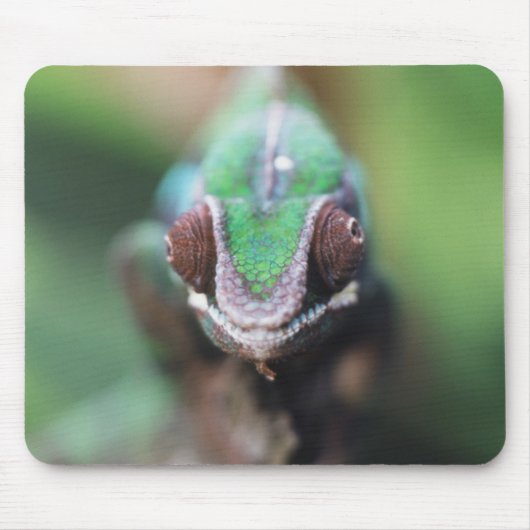 Tapis De Souris Madagascar, bar rouge Panther Chameleon (Devant)
