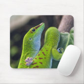 Tapis De Souris Madagascar day gecko (Avec souris)