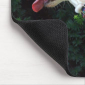 Tapis De Souris M'adopter (Coin)