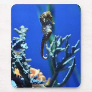 Tapis De Souris Magie d'hippocampe