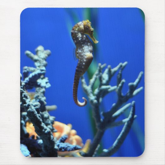 Tapis De Souris Magie d'hippocampe (Devant)