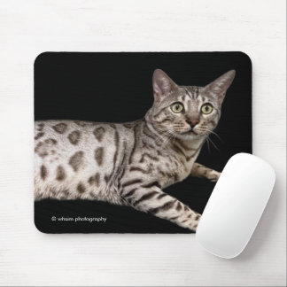 Tapis De Souris Magnifique chat du Bengale se détendant dans la co