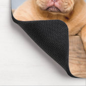 Tapis De Souris Magnifique Chiot Brown 2025 Calendrier Chien (Coin)