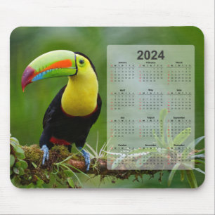 Tapis De Souris Magnifique et coloré Tropical Toucan 2024 Calendri