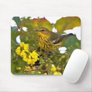 Tapis De Souris Magnifique Paruline du Cap May sur Mahonia