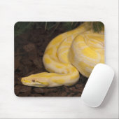 Tapis De Souris Magnifique Python birman jaune (Avec souris)