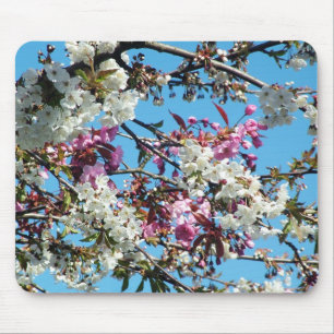 Tapis De Souris Magnifique rose de printemps, fleur de cerisier bl