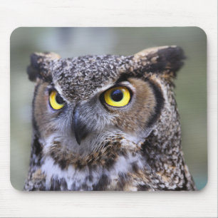 Tapis De Souris Magnifique Souris de Chouette