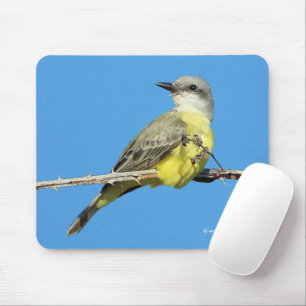 Tapis De Souris Magnifique Tropical Kingbird sur Blackberry Branch