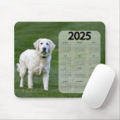 Tapis De Souris Magnifique White Labrador 2025 Calendrier des chie (Avec souris)