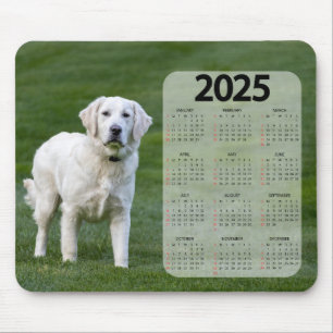 Tapis De Souris Magnifique White Labrador 2025 Calendrier des chie