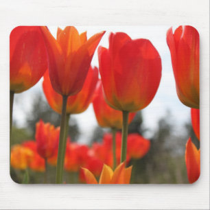 Tapis De Souris Magnifiques fleurs de tulipes rouges.