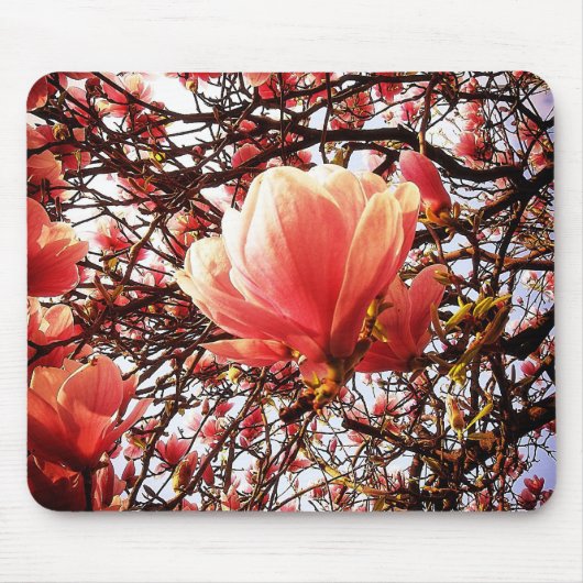 Tapis De Souris Magnolia (Devant)