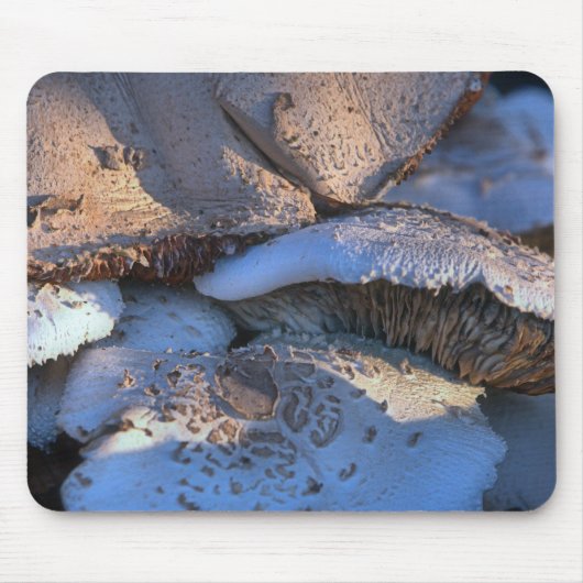 Tapis De Souris Magnolia (Devant)