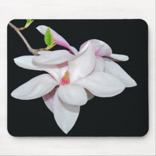 Tapis De Souris Magnolia blanc