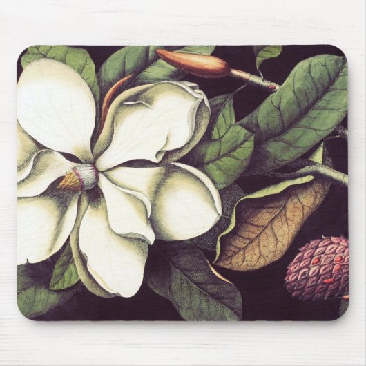 Tapis De Souris Magnolia blanche Mousepad, Mousepads frais (Devant)