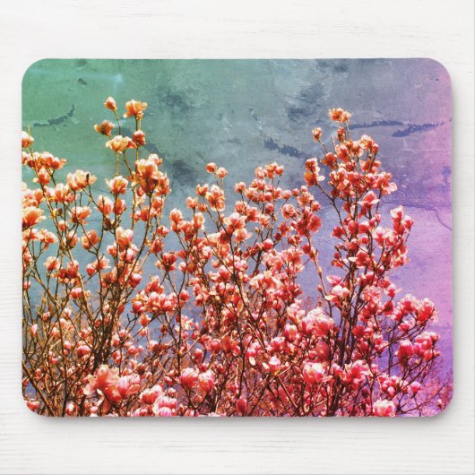Tapis De Souris Magnolia Blossoms Blue Sky Flower Art (Devant)