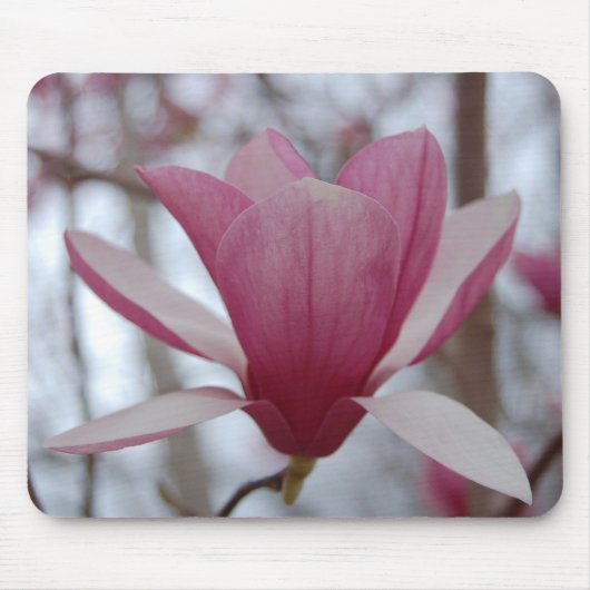 Tapis De Souris Magnolia Mousepad (Devant)