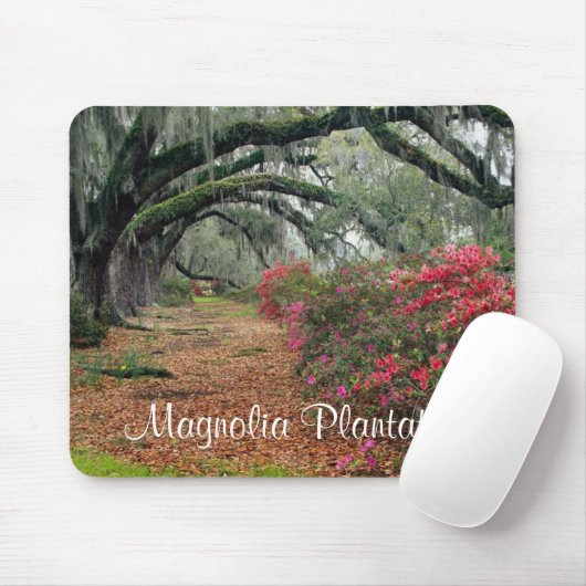 Tapis De Souris Magnolia Plantation / Charleston SC Mousepad (Avec souris)
