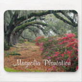 Tapis De Souris Magnolia Plantation / Charleston SC Mousepad (Devant)