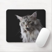 Tapis De Souris Maine Coon cat 2 (Avec souris)