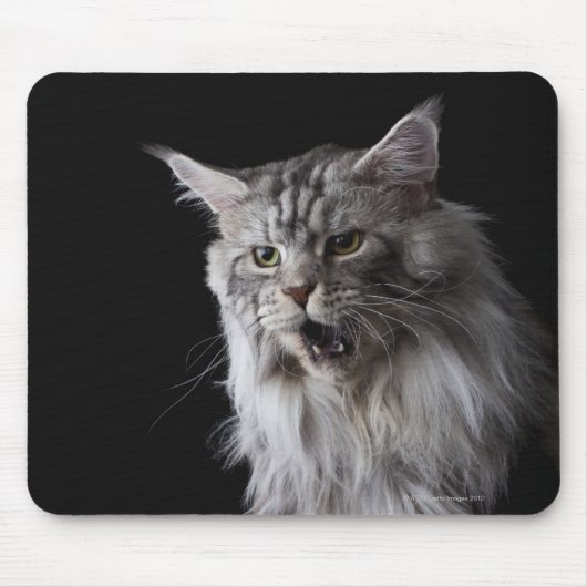 Tapis De Souris Maine Coon cat 2 (Devant)