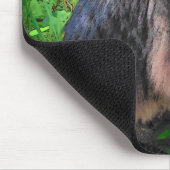 Tapis De Souris Maine Coon Chat sur briques (Coin)