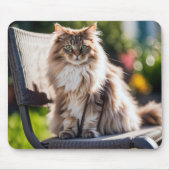 Tapis De Souris Maine Coon Chat Sur Chaise (Devant)