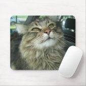 Tapis De Souris Maine Coon kitty (Avec souris)